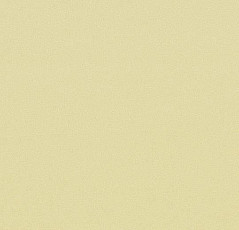 Линолеум Forbo Sarlon Colour 15dB 4806T4315 soft peach stardust фото 1 | FLOORDEALER